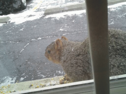 Sloth (USA-2) : 3-17-14